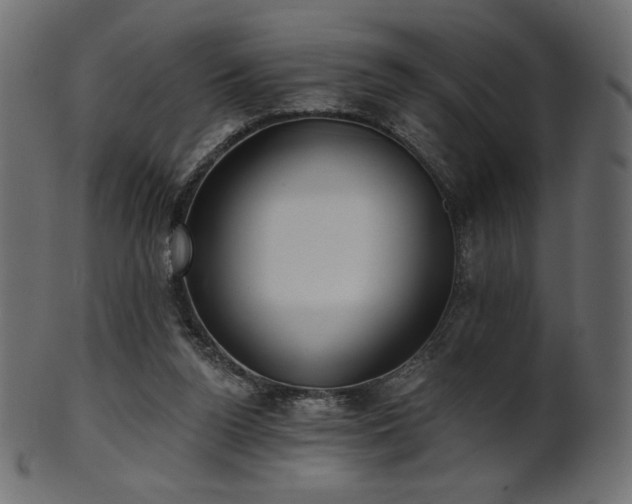 X0000102020160200807181334