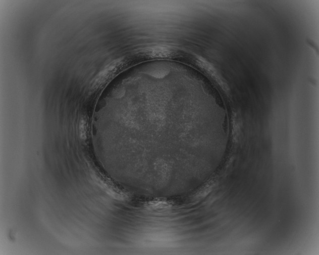 X0000102020161200807181334