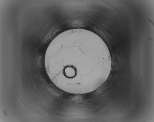 X0000102020162200807181334