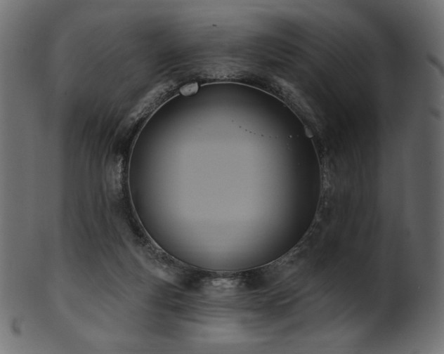 X0000102020163200807181334