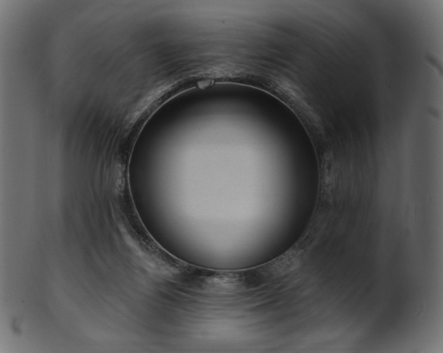 X0000102020164200807181334