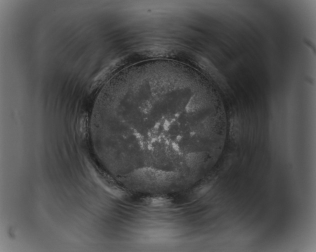 X0000102020165200807181334