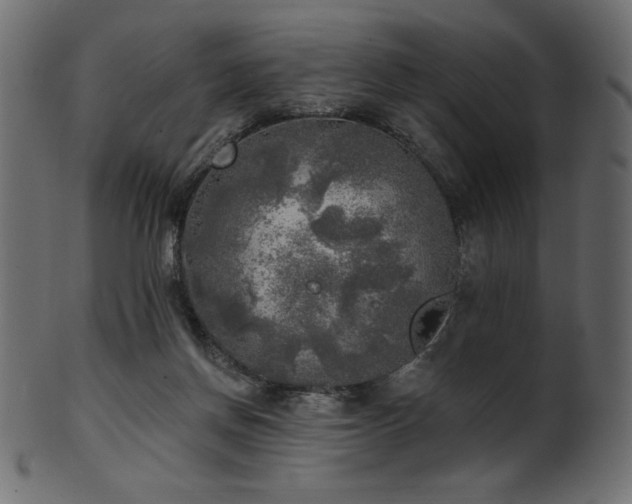X0000102020166200807181335