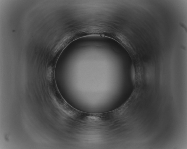 X0000102020167200807181335