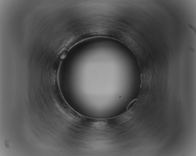X0000102020168200807181335
