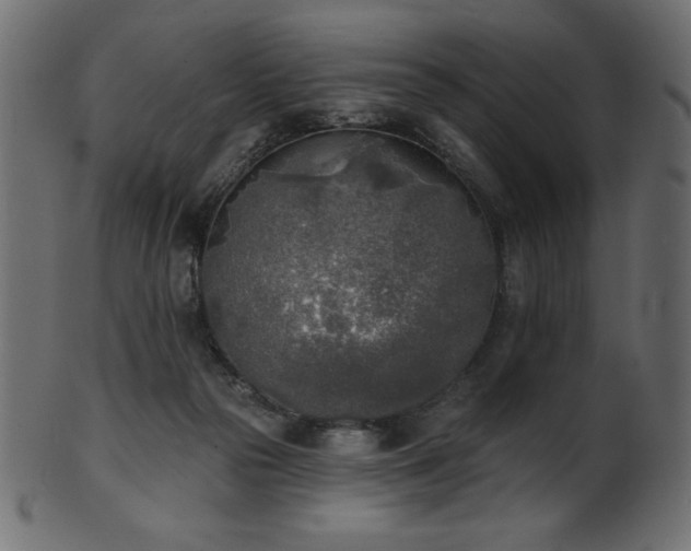 X0000102020169200807181335