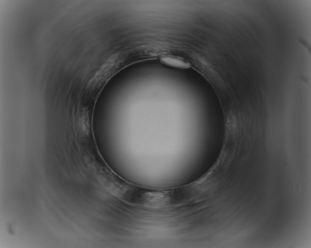 X0000102020170200807181335