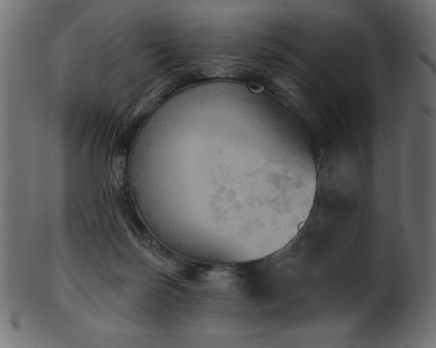 X0000102020171200807181335