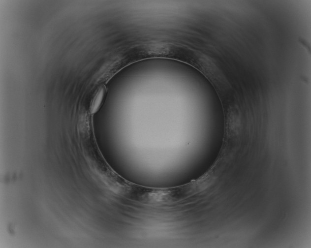 X0000102020172200807181335