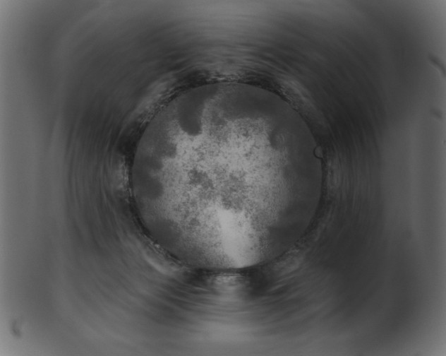 X0000102020173200807181335