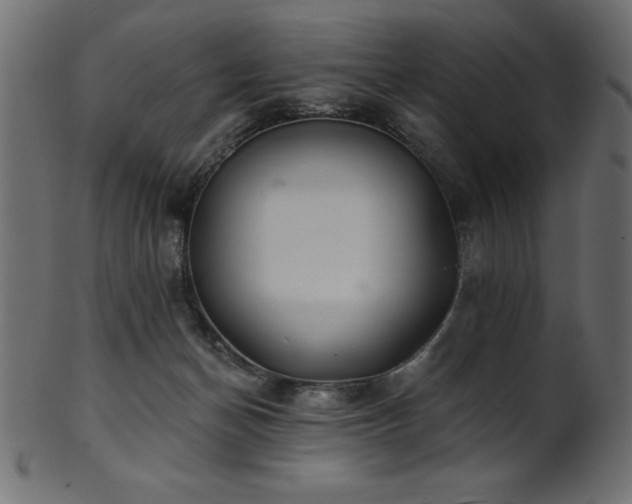 X0000102020174200807181335