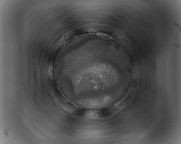 X0000102020175200807181335