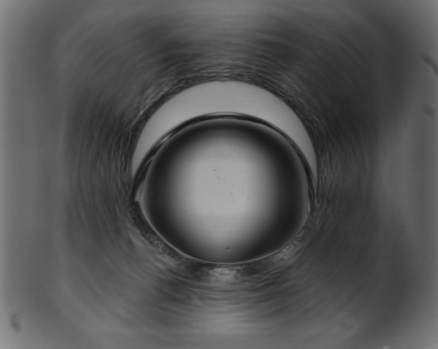 X0000102020176200807181335