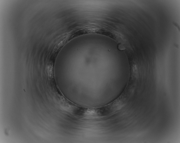 X0000102020177200807181335
