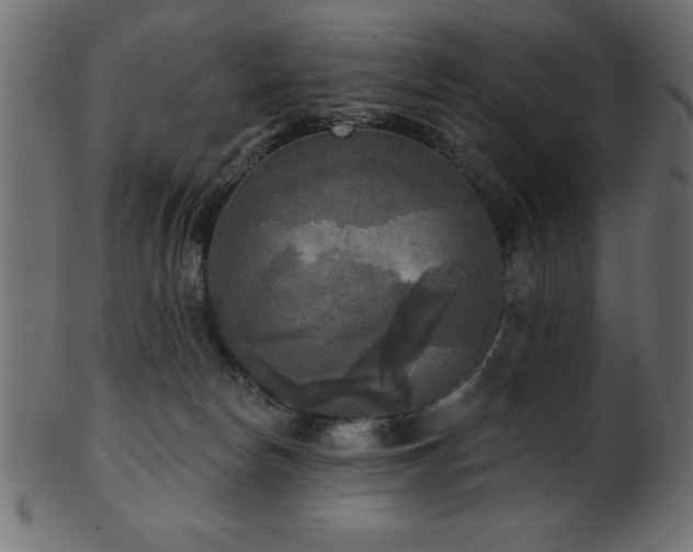 X0000102020178200807181335