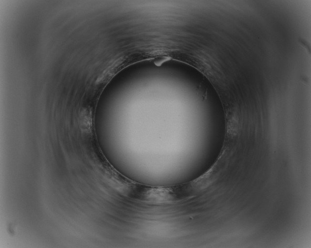 X0000102020179200807181335