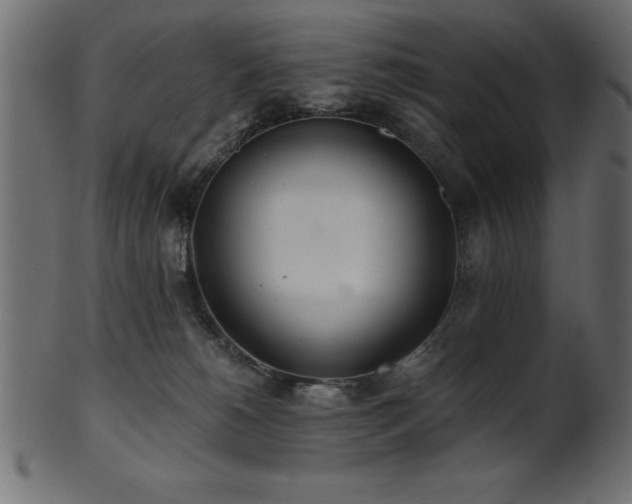 X0000102020180200807181335