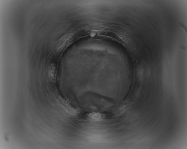 X0000102020181200807181335
