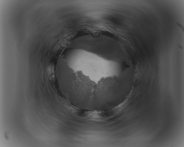 X0000102020182200807181335