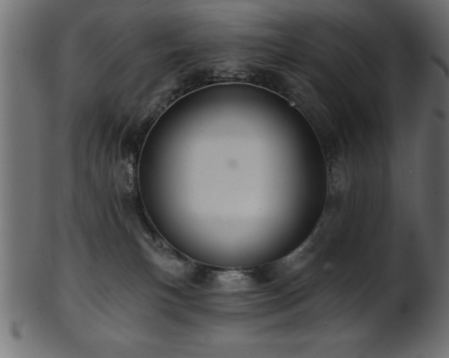 X0000102020183200807181335