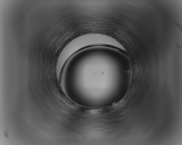 X0000102020184200807181335