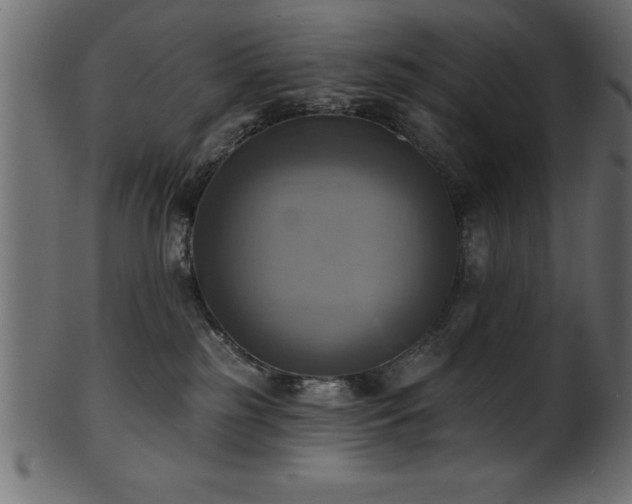 X0000102020185200807181335