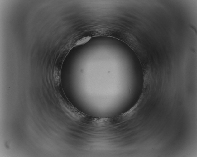 X0000102020186200807181335