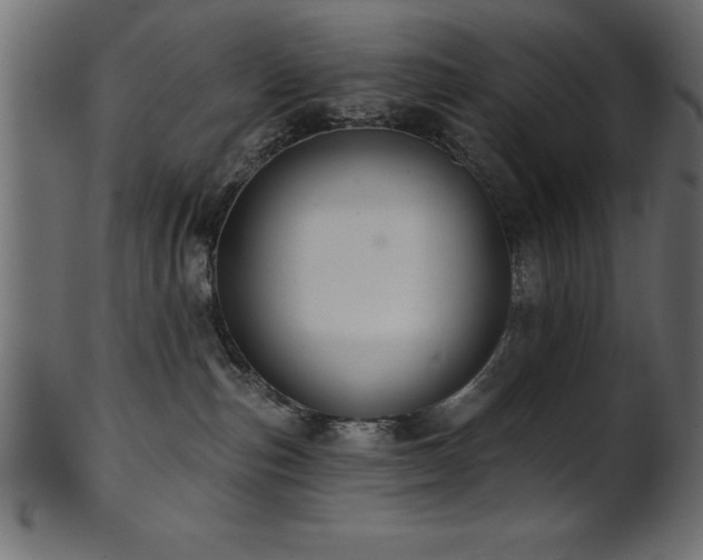 X0000102020187200807181335