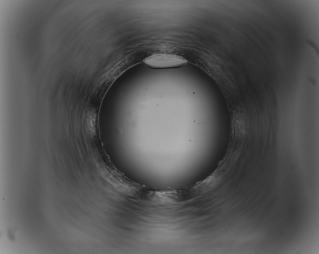 X0000102020188200807181335