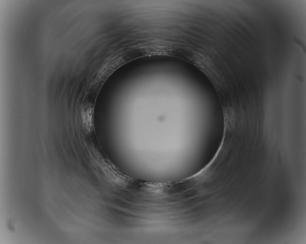 X0000102020190200807181335