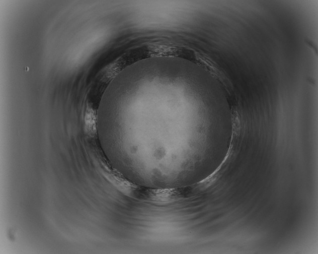 X0000102020191200807181335