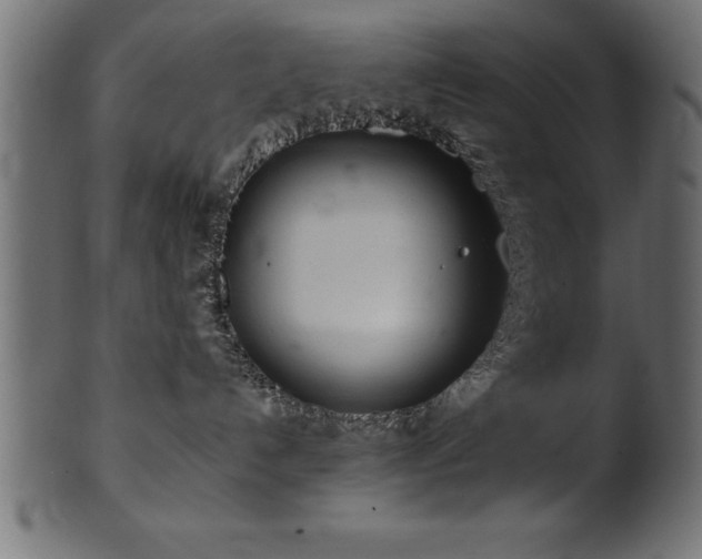 X0000102020192200807181335