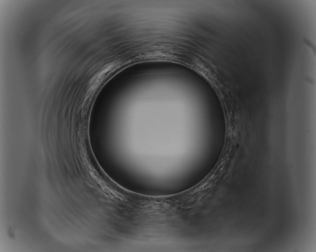 X0000102020193200807181334