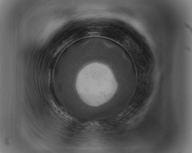 X0000102020194200807181334