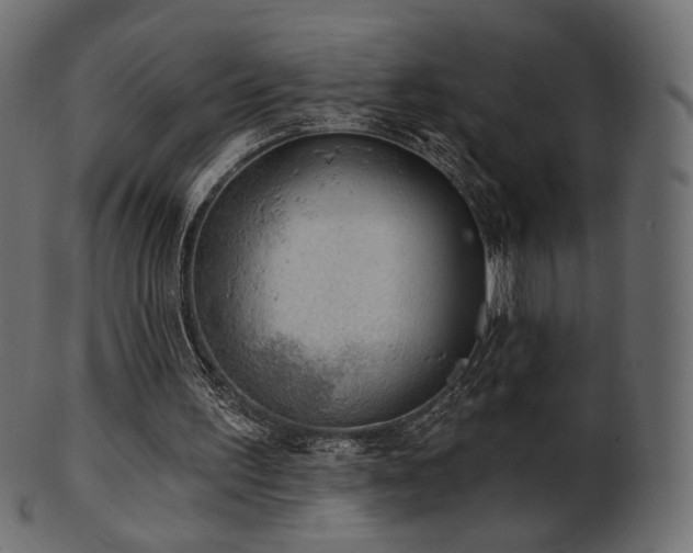 X0000102020195200807181334