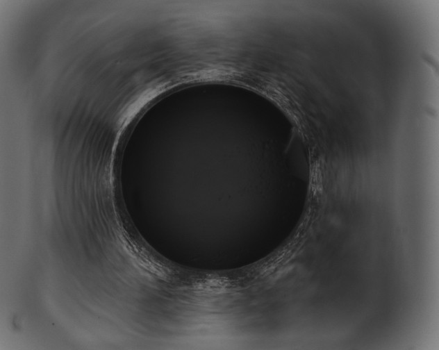 X0000102020196200807181334