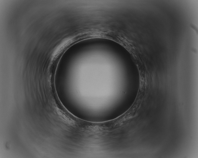 X0000102020197200807181334