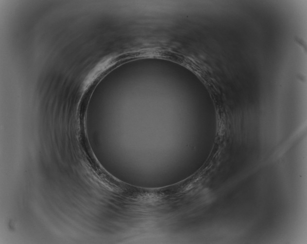 X0000102020198200807181334