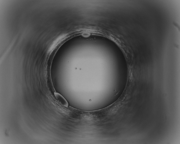 X0000102020199200807181334