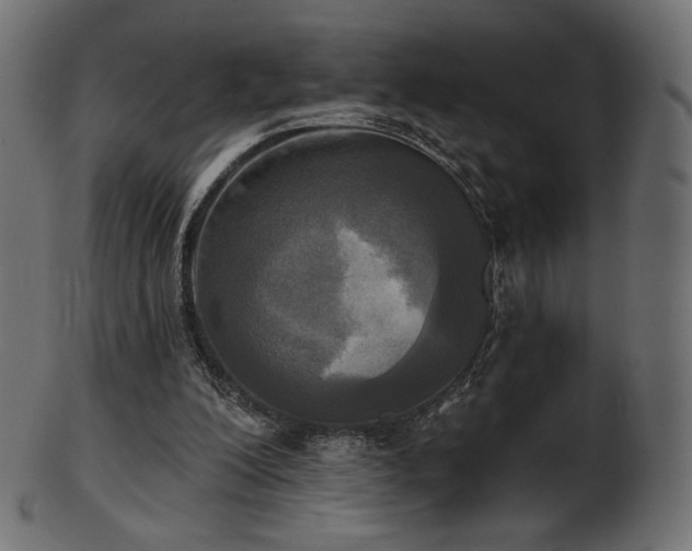 X0000102020200200807181334
