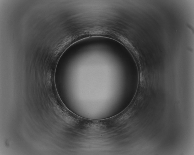 X0000102020201200807181334