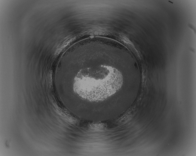 X0000102020202200807181334