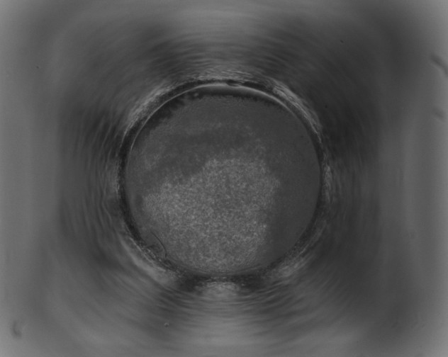 X0000102020203200807181334