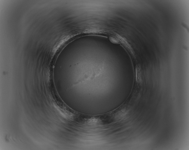 X0000102020204200807181334
