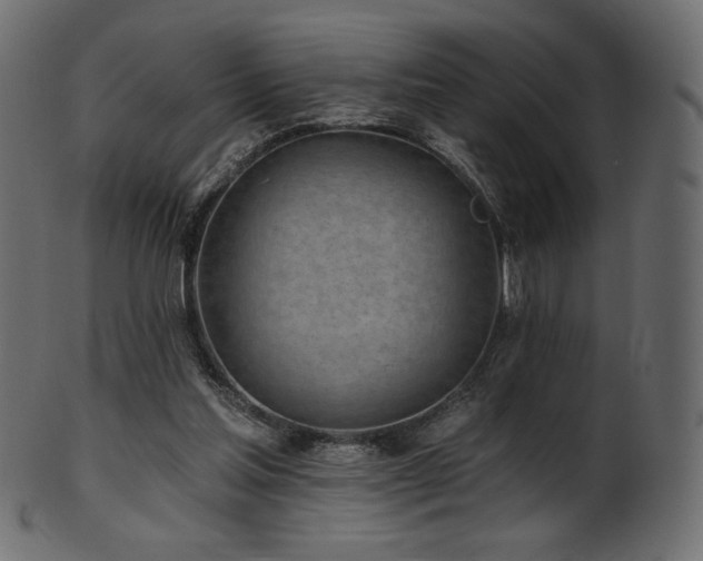 X0000102020205200807181334