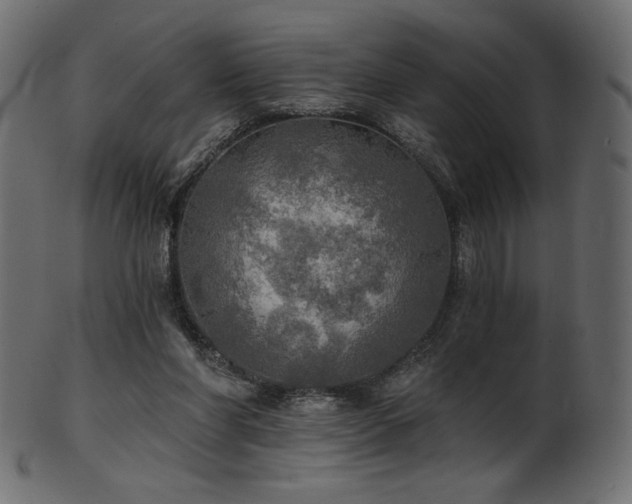 X0000102020206200807181334