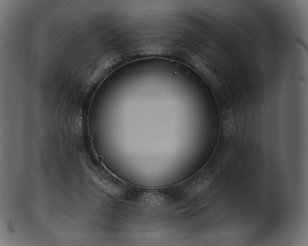 X0000102020207200807181334