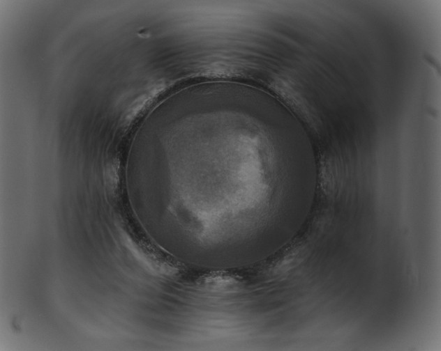 X0000102020208200807181334