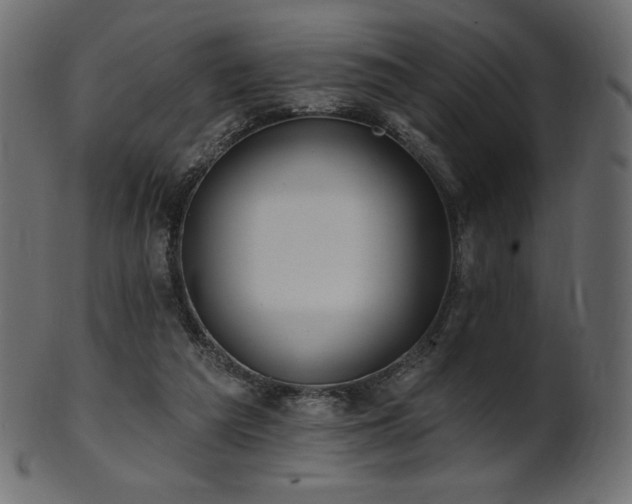 X0000102020209200807181334