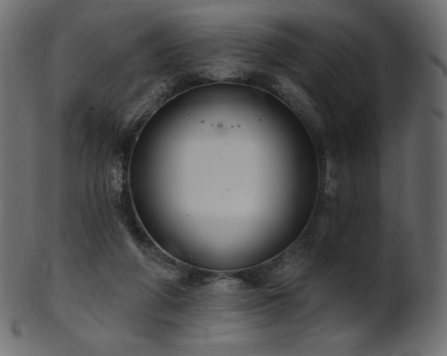 X0000102020210200807181334